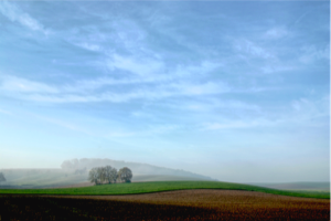 Stacks Image 63