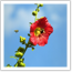 page7_sidebar_1